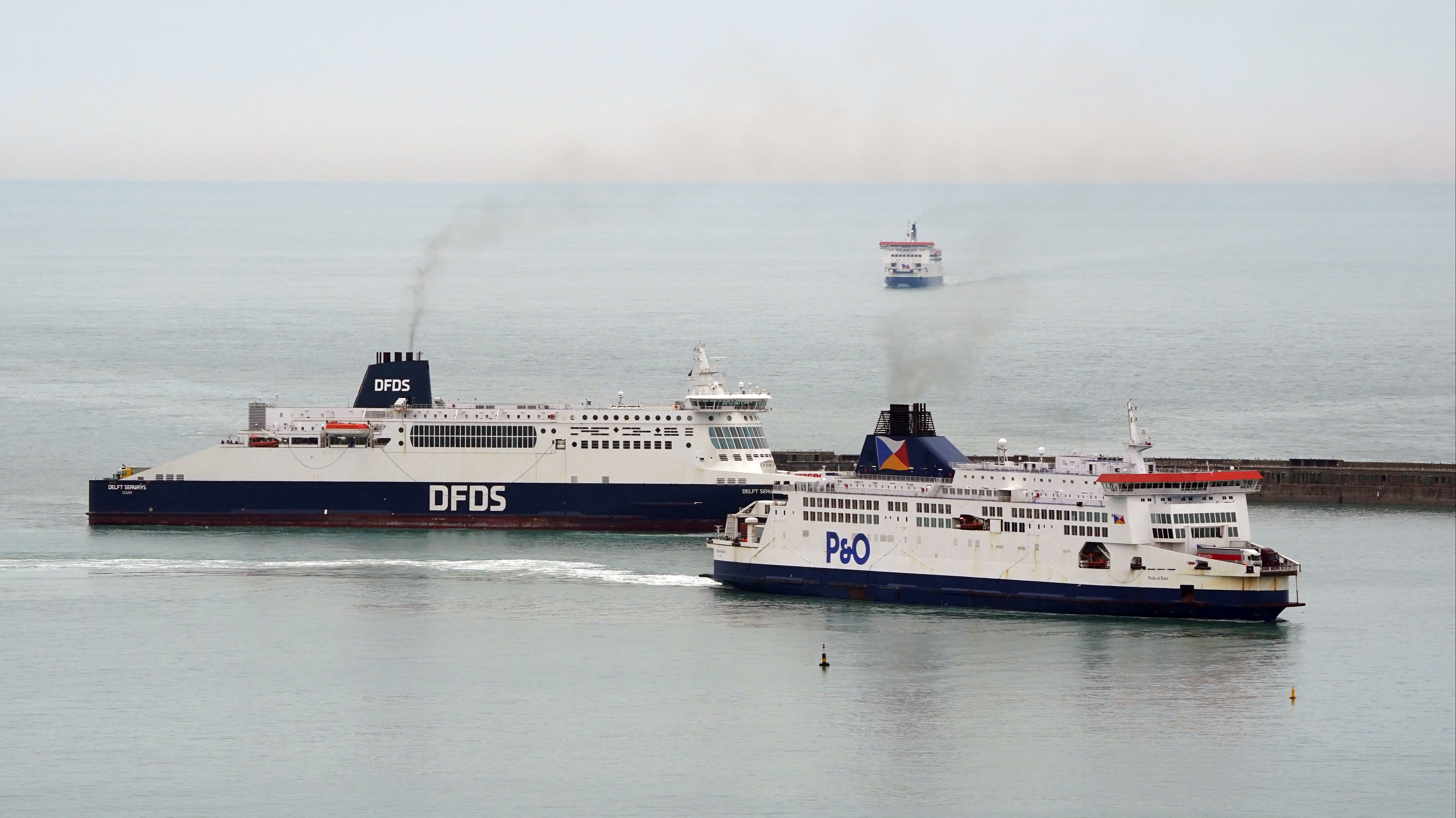 can dogs travel on p o ferries