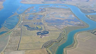 An aerial image of Wallasea Island in Essex. Credit: RSPB.