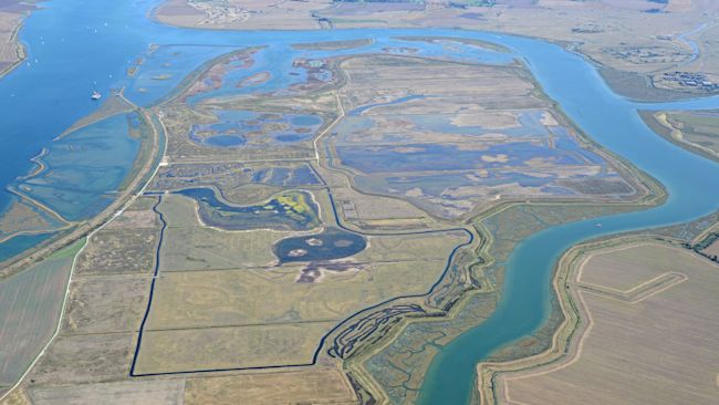 An aerial image of Wallasea Island in Essex. Credit: RSPB.