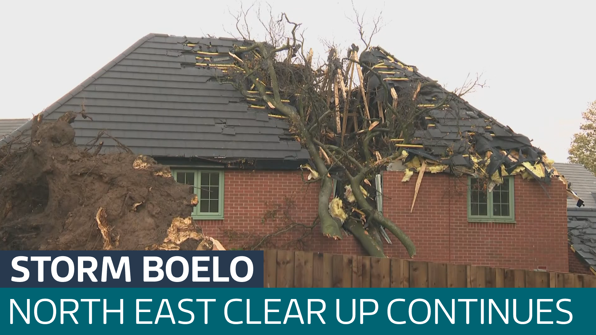 North East feels force of Storm Boelo as tree tears through home and ...
