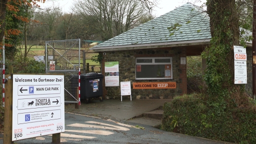 Dartmoor Zoo narrowly escapes having escapees after storm blows