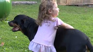 Missing toddler found sleeping in woods using her dog as a pillow