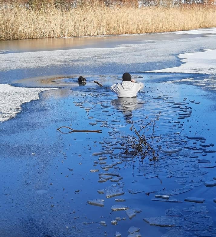 Local hero jumps into lake in Whickham to save a dog that fell through ...
