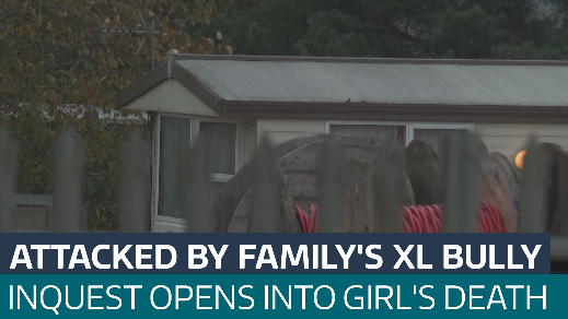 Girl, 10, attacked by XL Bully dog died of neck injuries, inquest hears ...