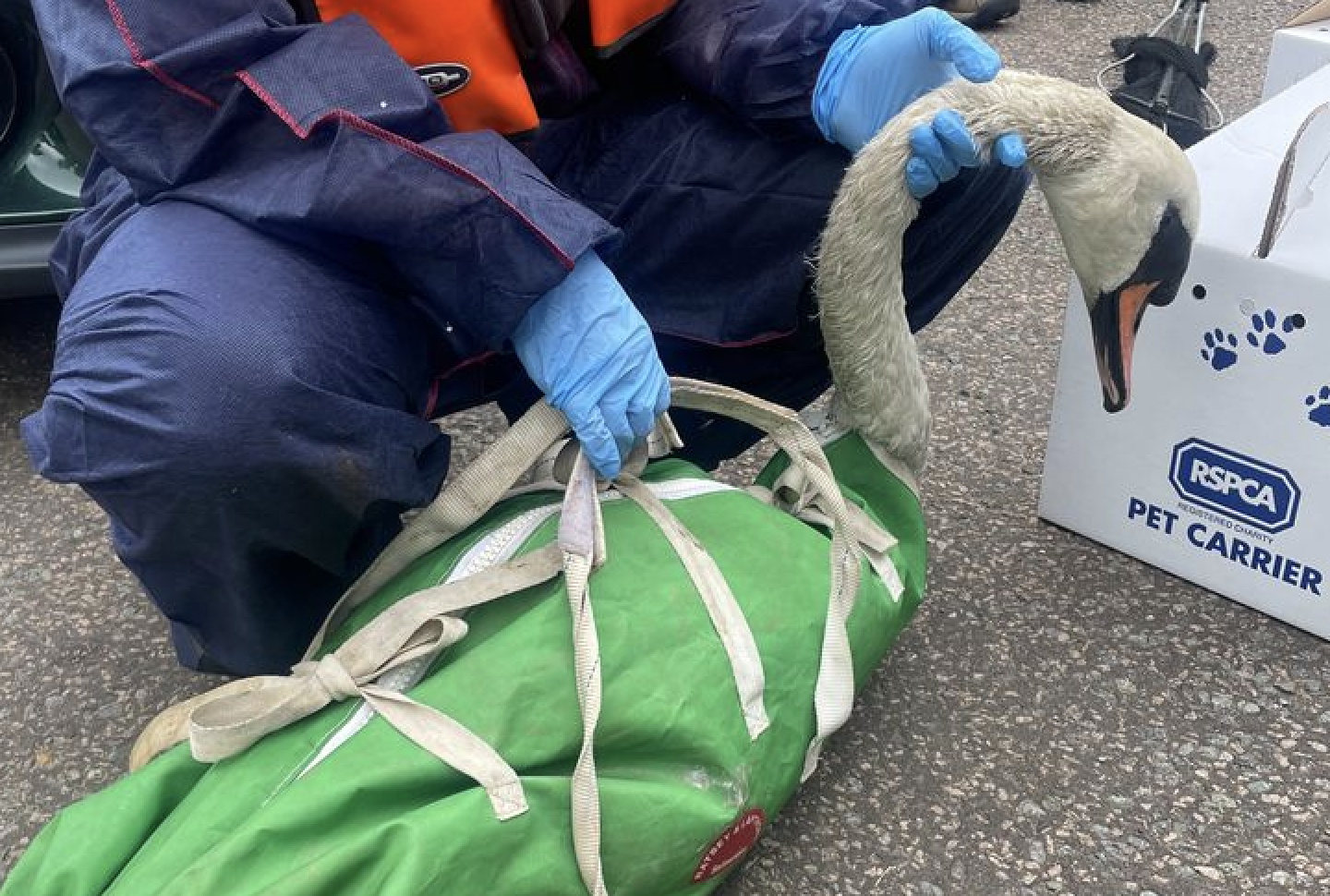 Diesel dumped in Northampton lake kills seven ITV News Anglia