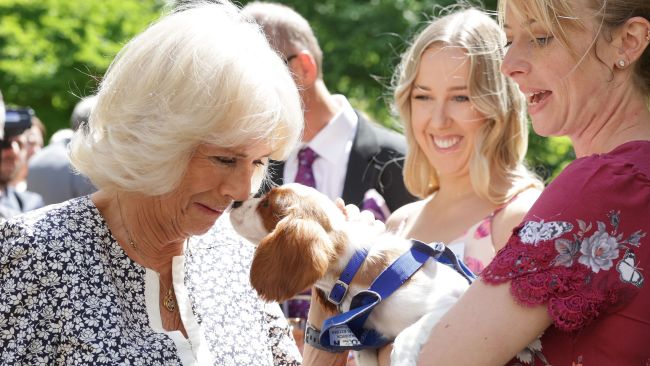 The Duchess of Cornwall meets Mala Breeze and her dog Flora as she hosts a reception at Clarence House, London, to mark the Battersea Dogs and Cats Home's 160th anniversary. Picture date: Thursday July 14, 2022.
