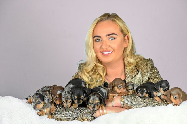 Not for use other than Central/National.