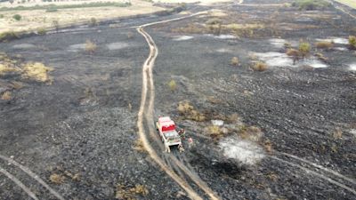 The fire near Coalhouse Fort damaged eight acres of fields and took nearly four hours for crews to extinguish.
Credit: Essex County Fire and Rescue Service