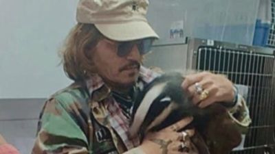 Johnny Depp holds a badger in Kent
Credit: Folly Wildlife Rescue