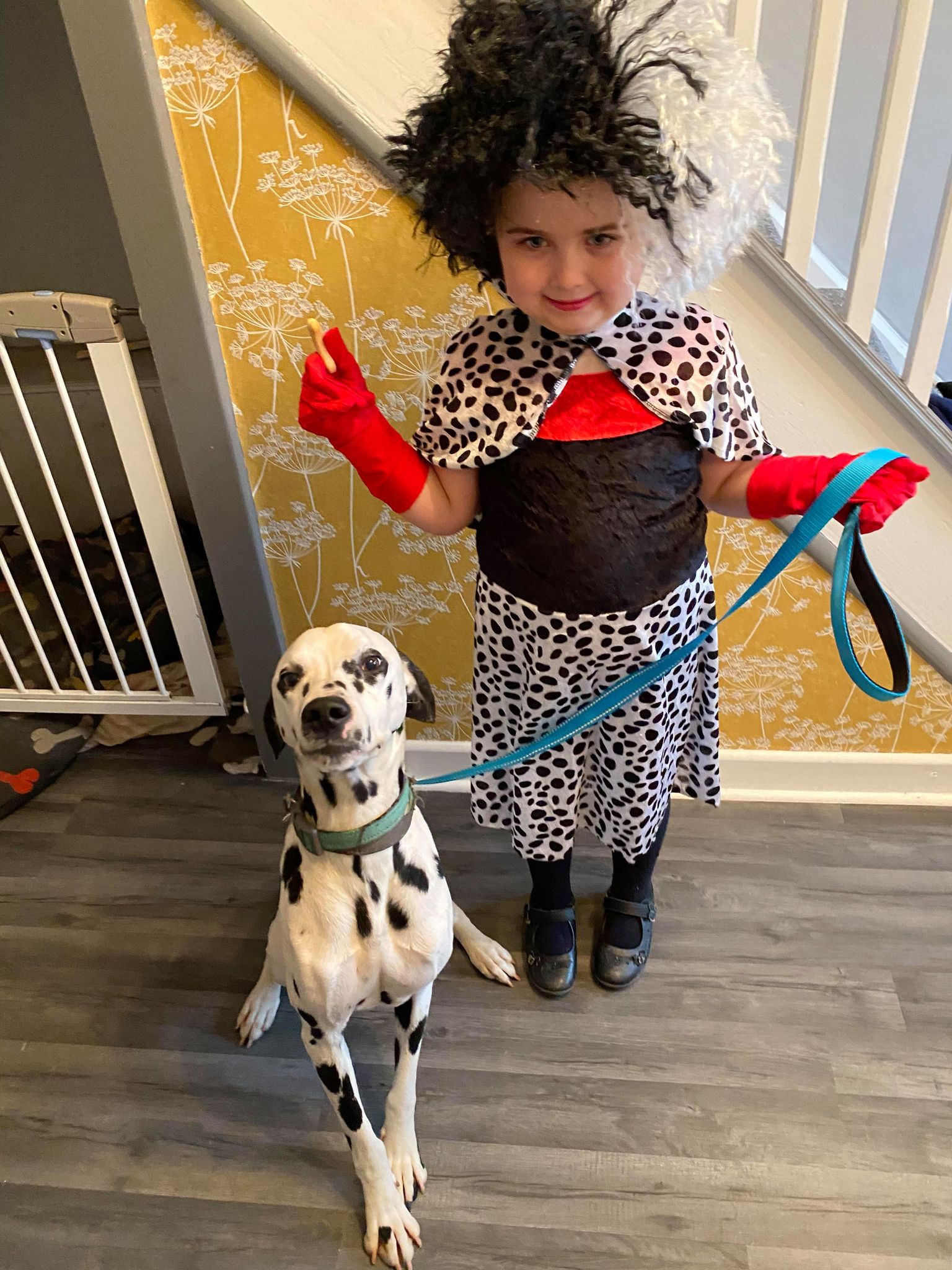 101 dalmatians world book day costumes