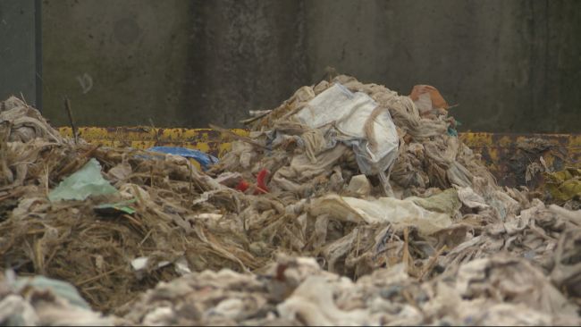 Solid waste collected by South West Water after being flushed into the water network