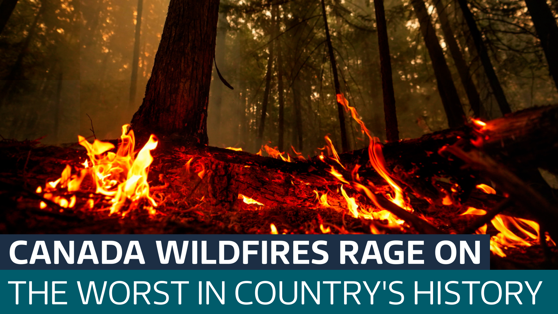 Firefighters in Canada struggle to control more than a thousand ...