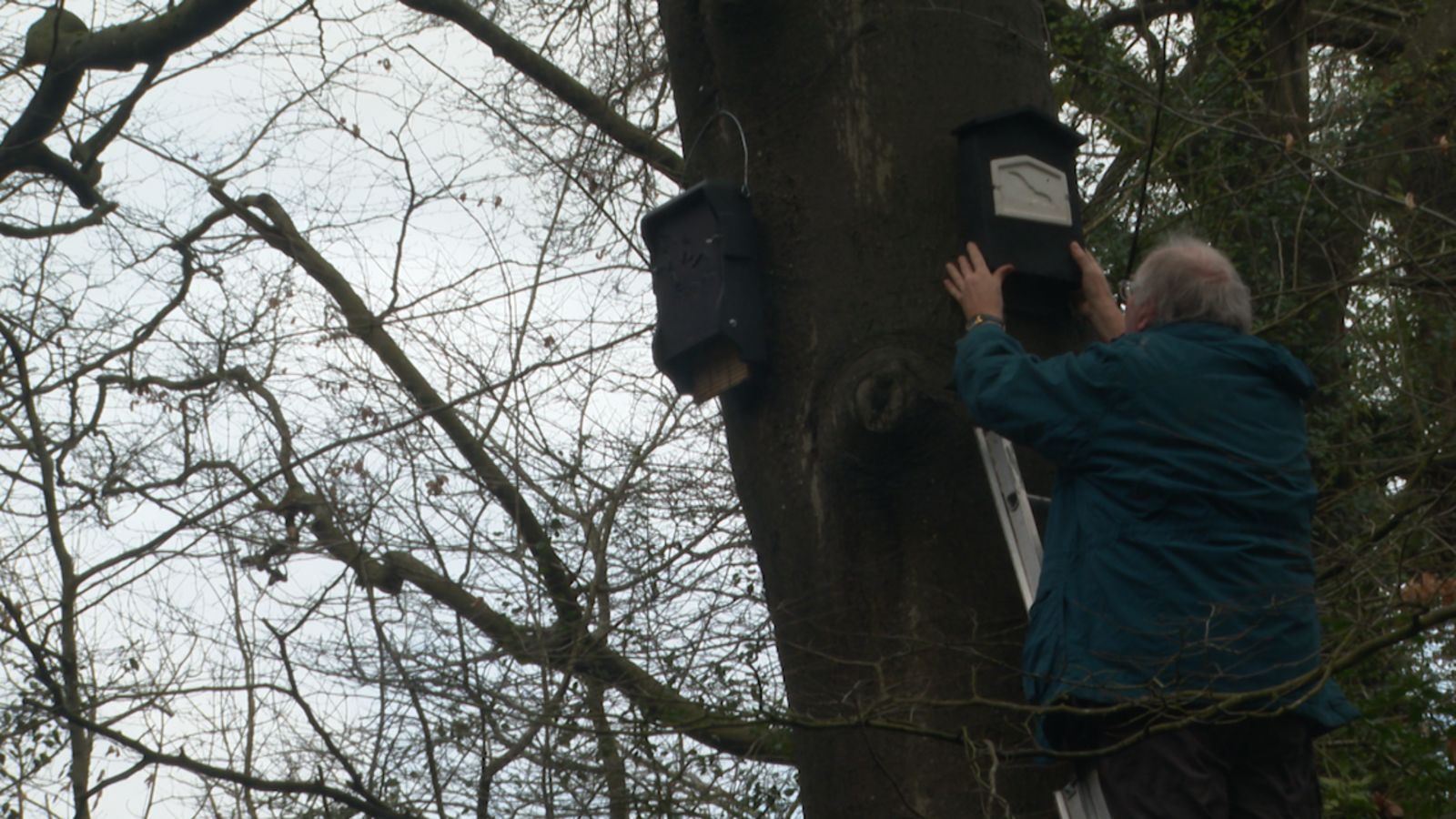Bat Capture Box Research Volunteers install new bat boxes for monitoring project in Caversham ...