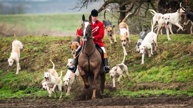 Members of the Grove and Rufford Hunt, formed in 1952, near Bawtry in South Yorkshire as hundreds of packs across the country meet for traditional Boxing Day hunts.  Danny Lawson/PA