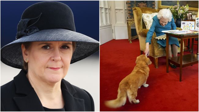 Nicola Sturgeon told a story about the Queen's corgi.
PA