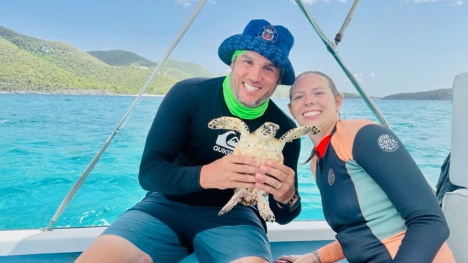 Sea turtles named after Bath Rugby players in Christmas gift from fan ...
