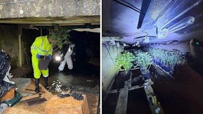 Police said the "unusual, but sophisticated, set-up" was discovered by maintenance workers from National Highways on Friday, 28 November. Credit: Northants Police