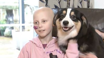 Freya Harris Lincolnshire eight-year-old with advanced cancer to fulfil 'dream' at ...