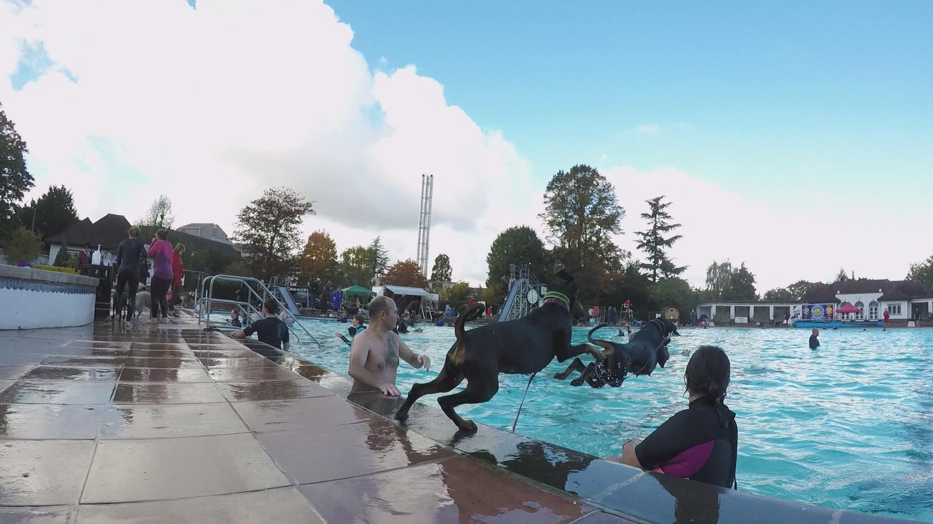Owners And Their Pets Have Been Making A Splash At Cheltenham S Lido Itv News West Country