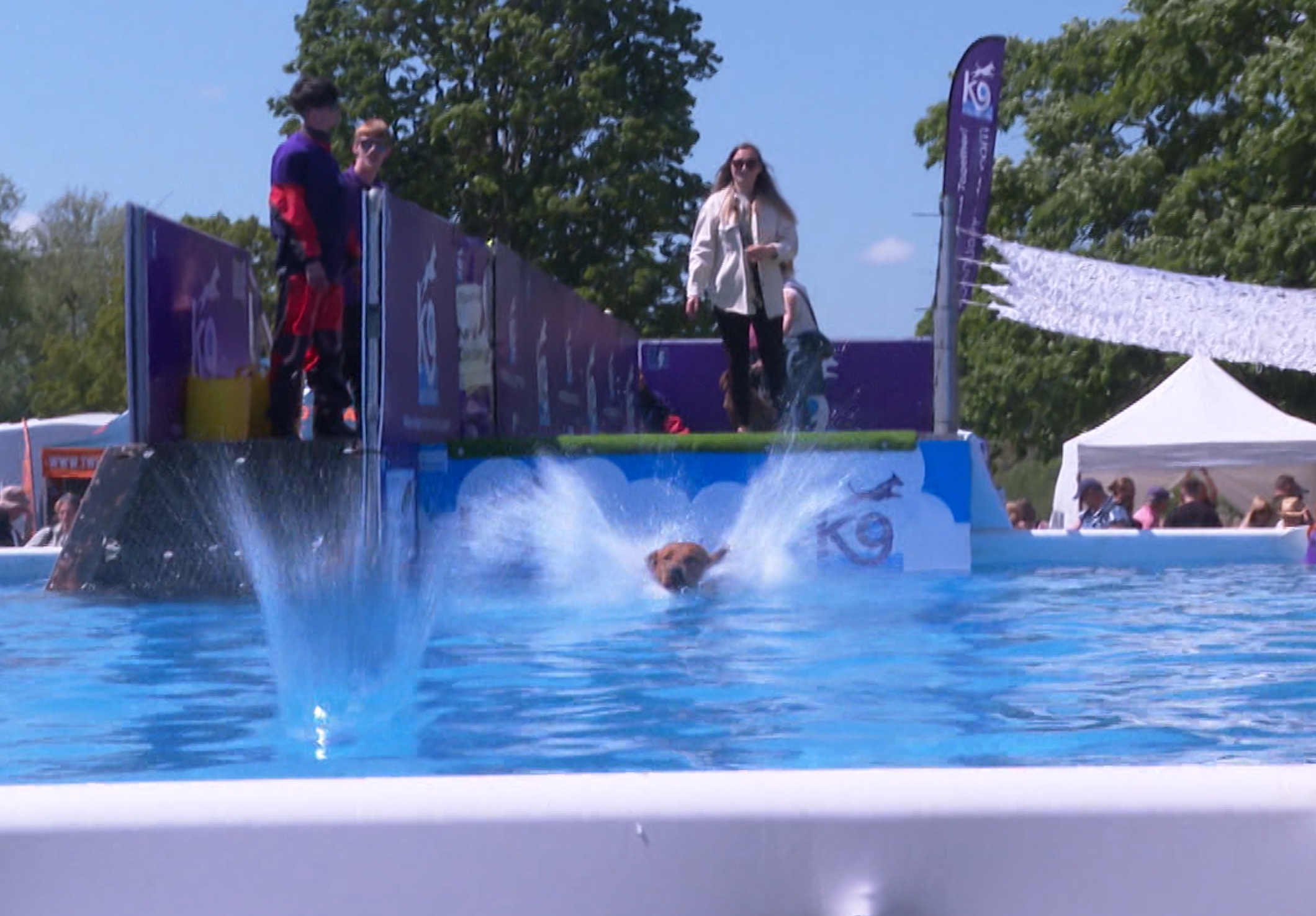thousands-attend-hampshire-festival-created-for-dogs-itv-news-meridian