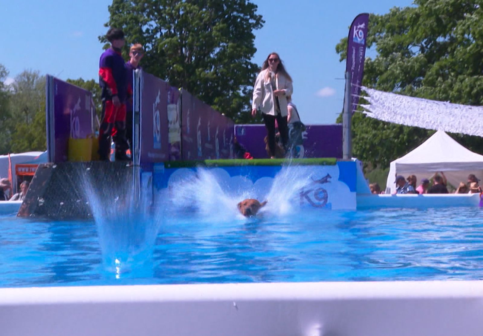 Thousands Attend Hampshire Festival Created For Dogs ITV News Meridian thousands-attend-hampshire-festival-created-for-dogs-itv-news-meridian