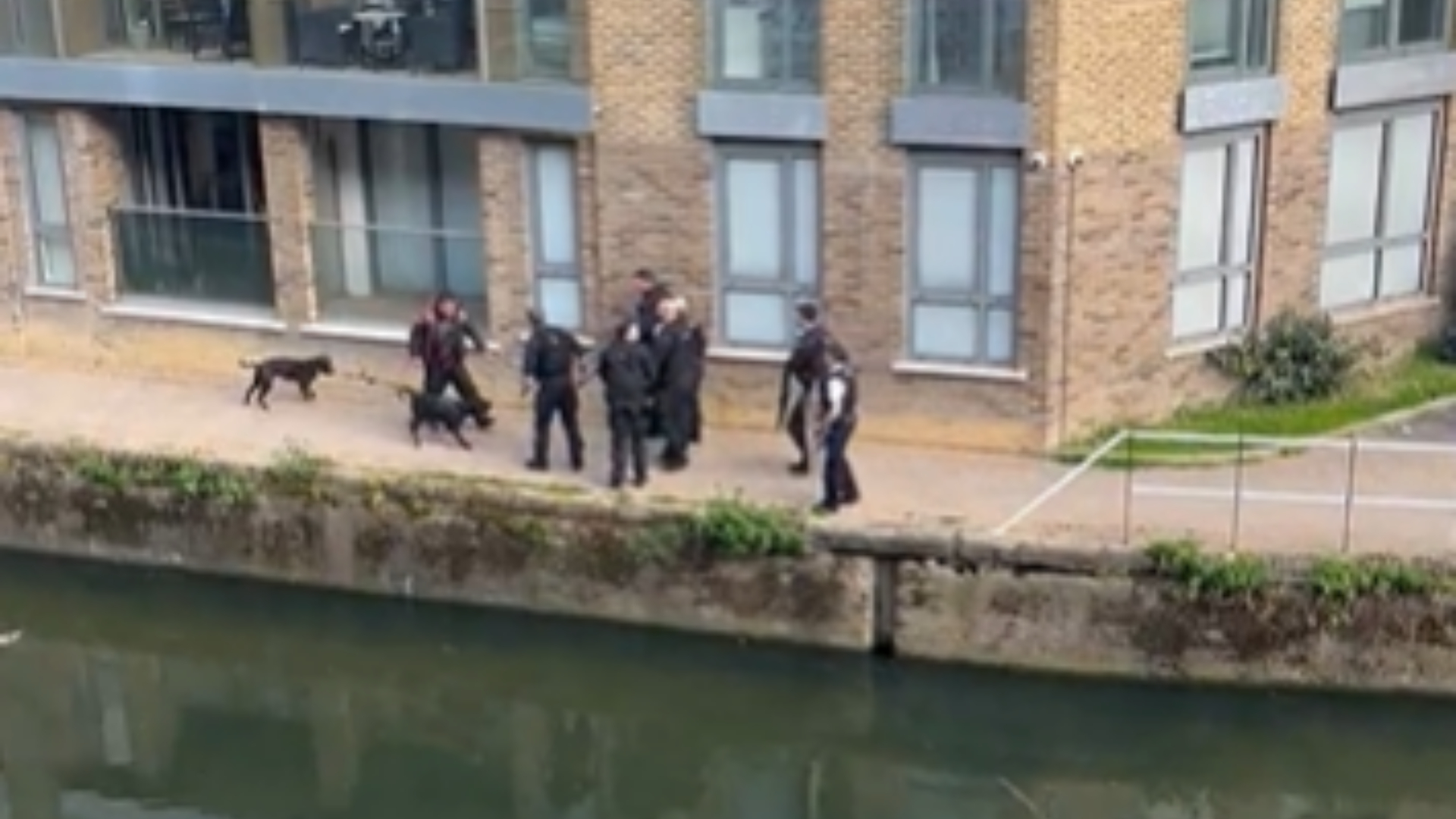 police-watchdog-launches-probe-after-dogs-shot-dead-along-limehouse