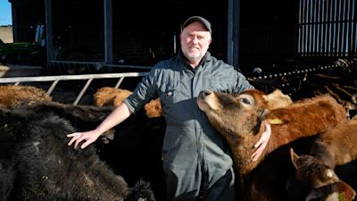 280221 SIMON CORNISH FARMER. GREG MARTIN/CORNWALL LIVE