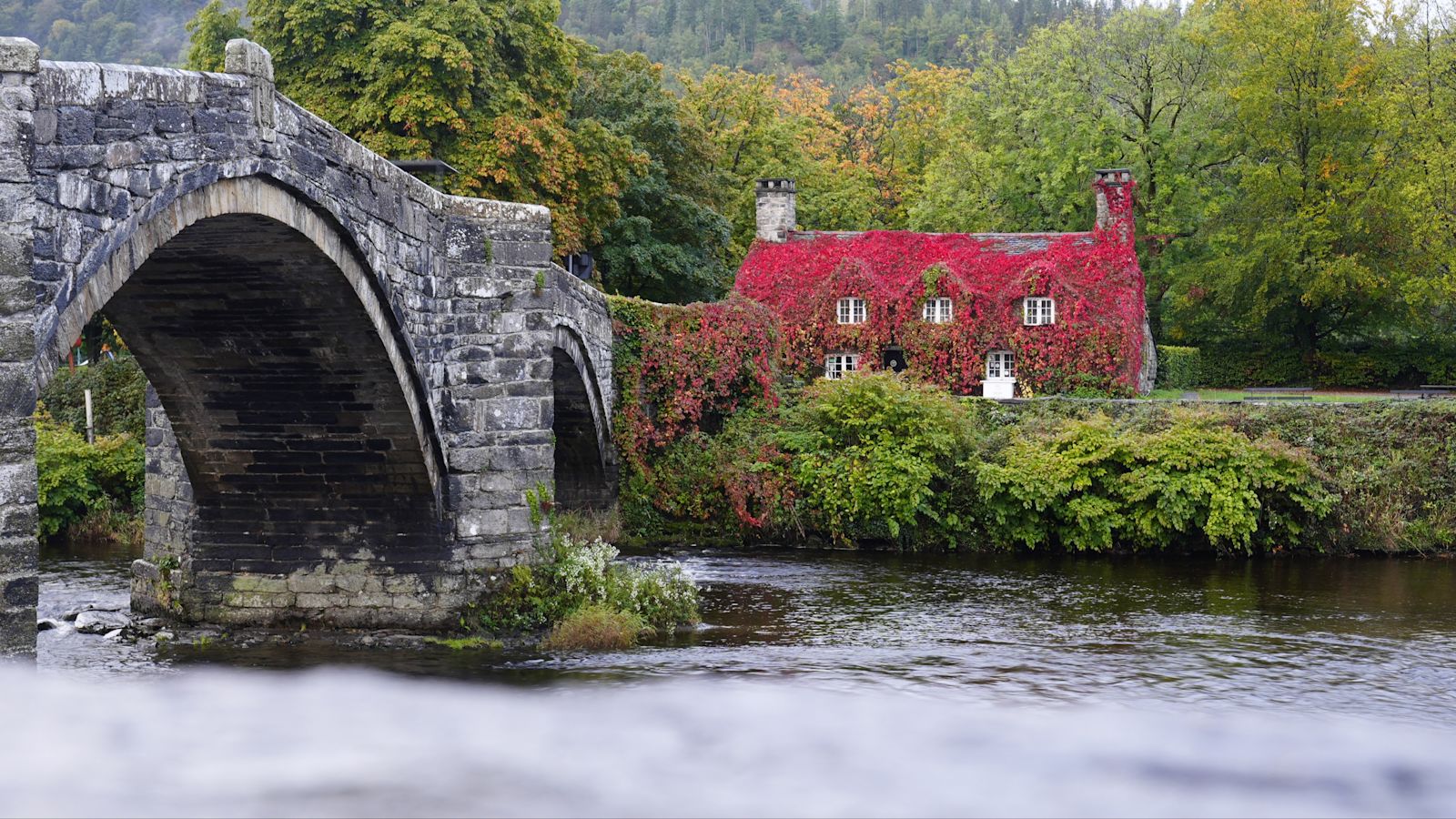 Is autumn finally here? Temperatures to drop this week with frosty nights ...