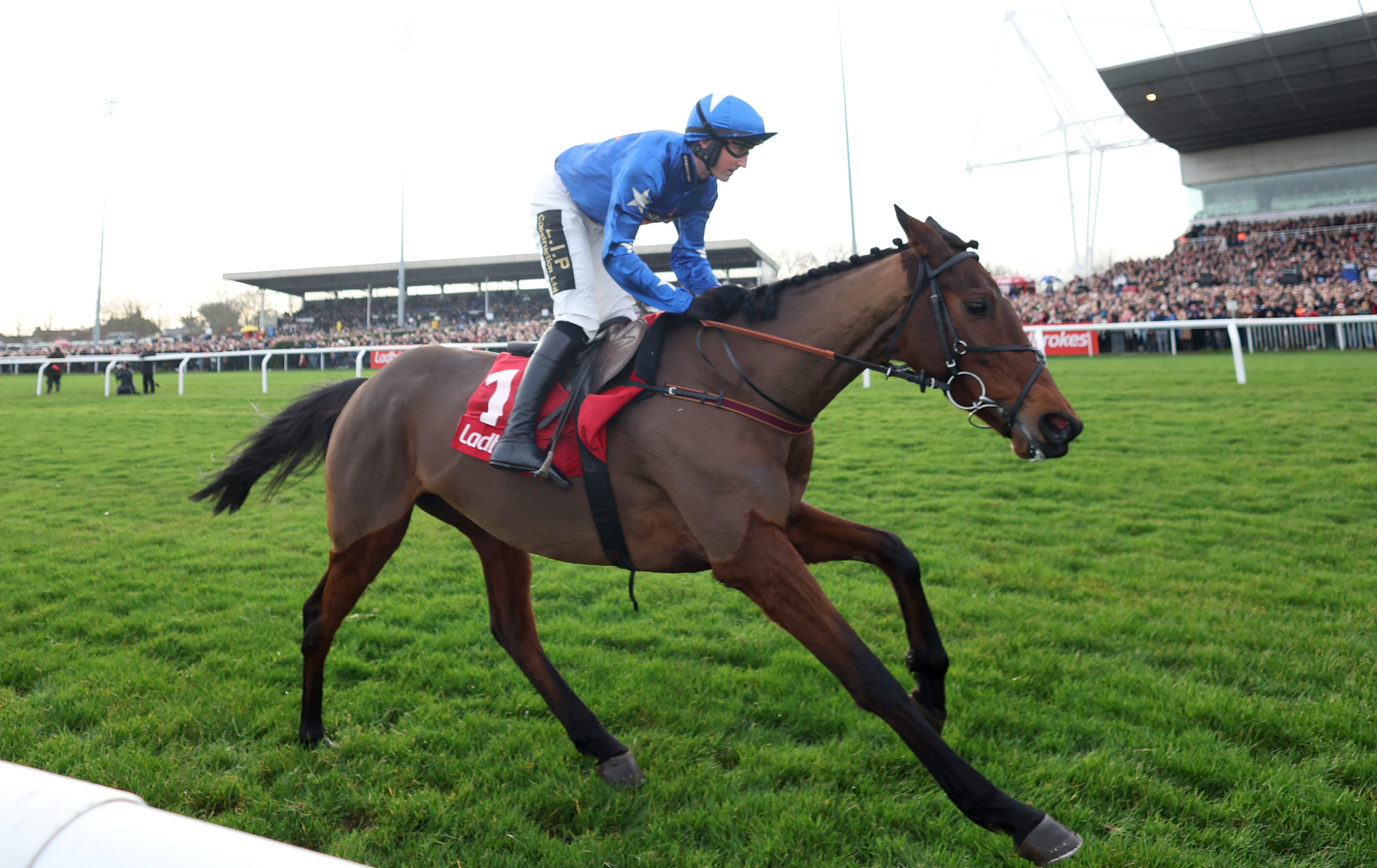 Two horses die at Grand National as animal charities call for end to racing  | ITV News Granada