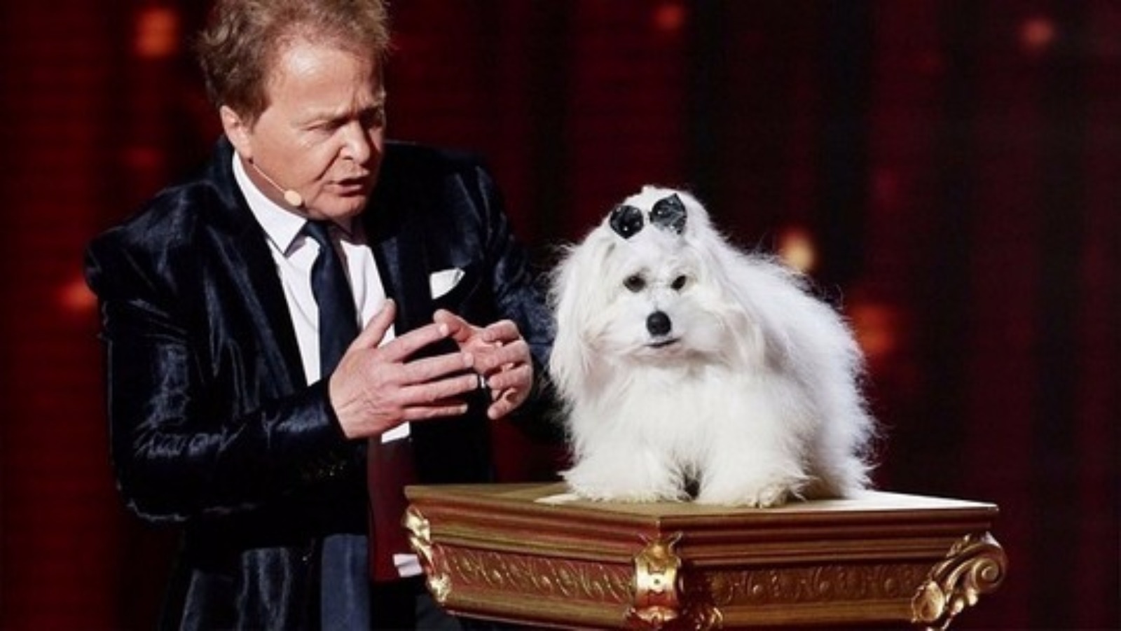 Simon Cowell defends Britain's Got Talent 'talking' dog act ITV News