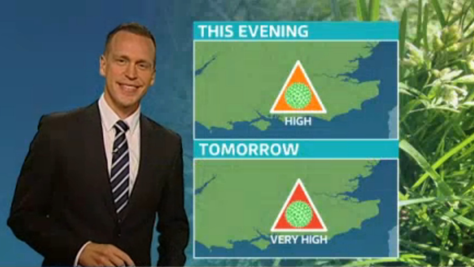 Saturday's Pollen Forecast ITV News Meridian