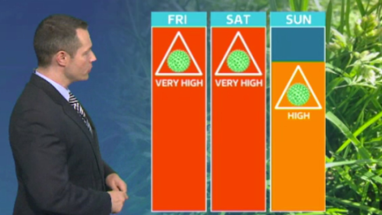Pollen count update 10th July ITV News Calendar