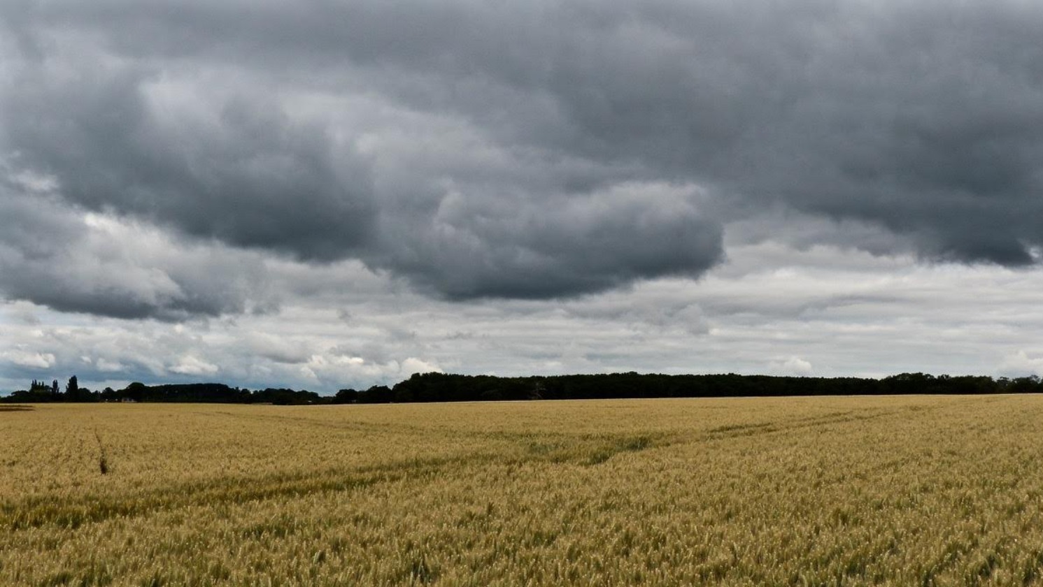 Anglia Weather drier and brighter ITV News Anglia