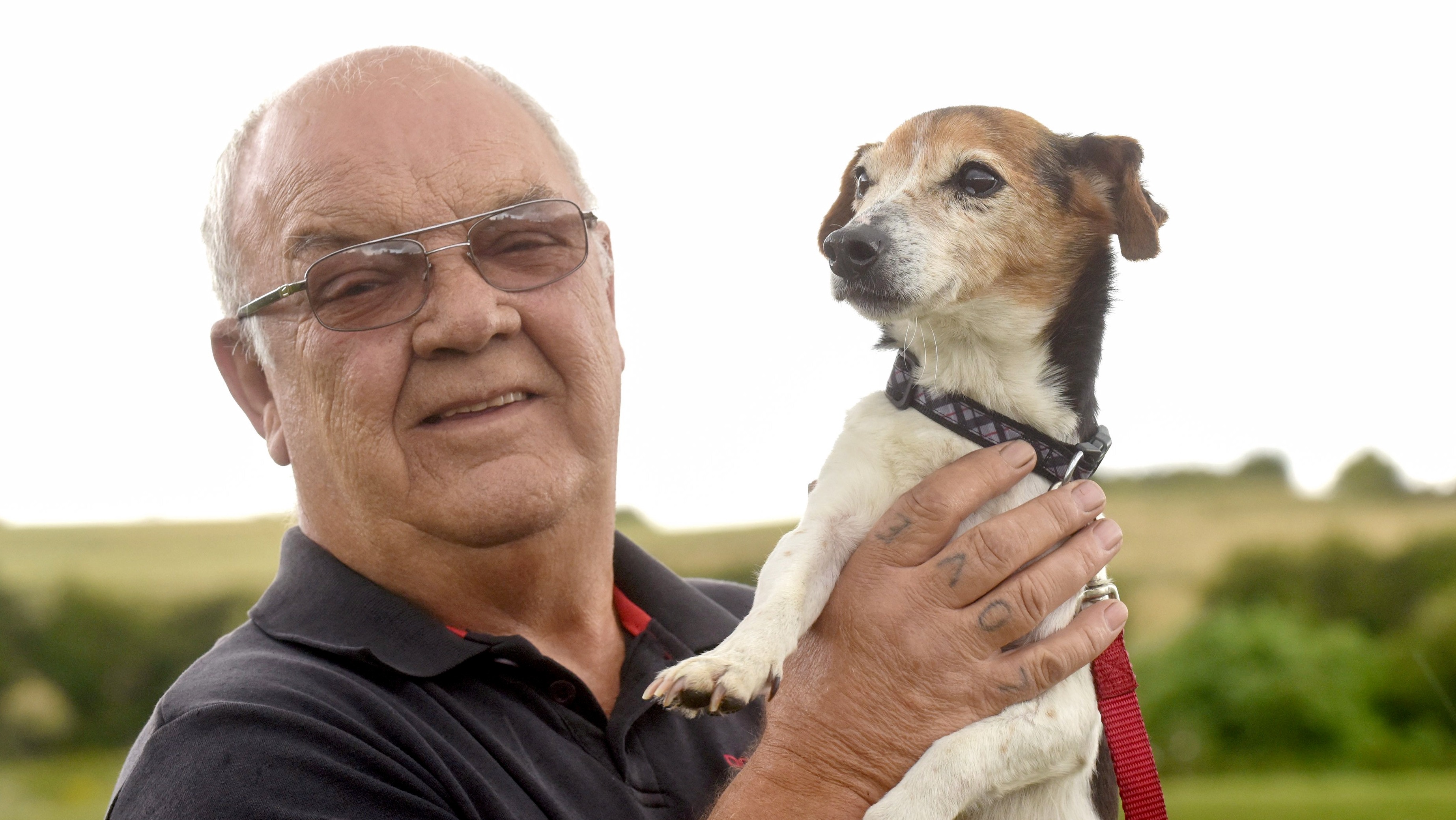 Dog reunited with family seven years after being stolen ITV News