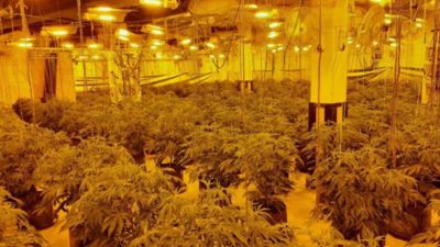 Two people found hiding in a cannabis factory in Southampton, have been treated like slaves and forced to live in terrible conditions, according to the police.