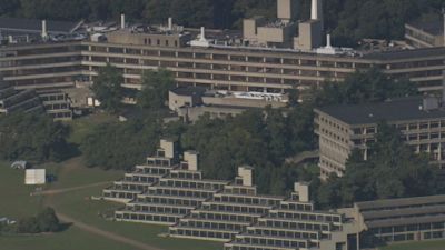 UEA