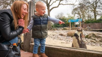 Ami Spillman and Zack visit the penguins at London Zoo in Regent's Park, London, as England takes another step back towards normality with the further easing of lockdown restrictions. Picture date: Monday April 12, 2021.
