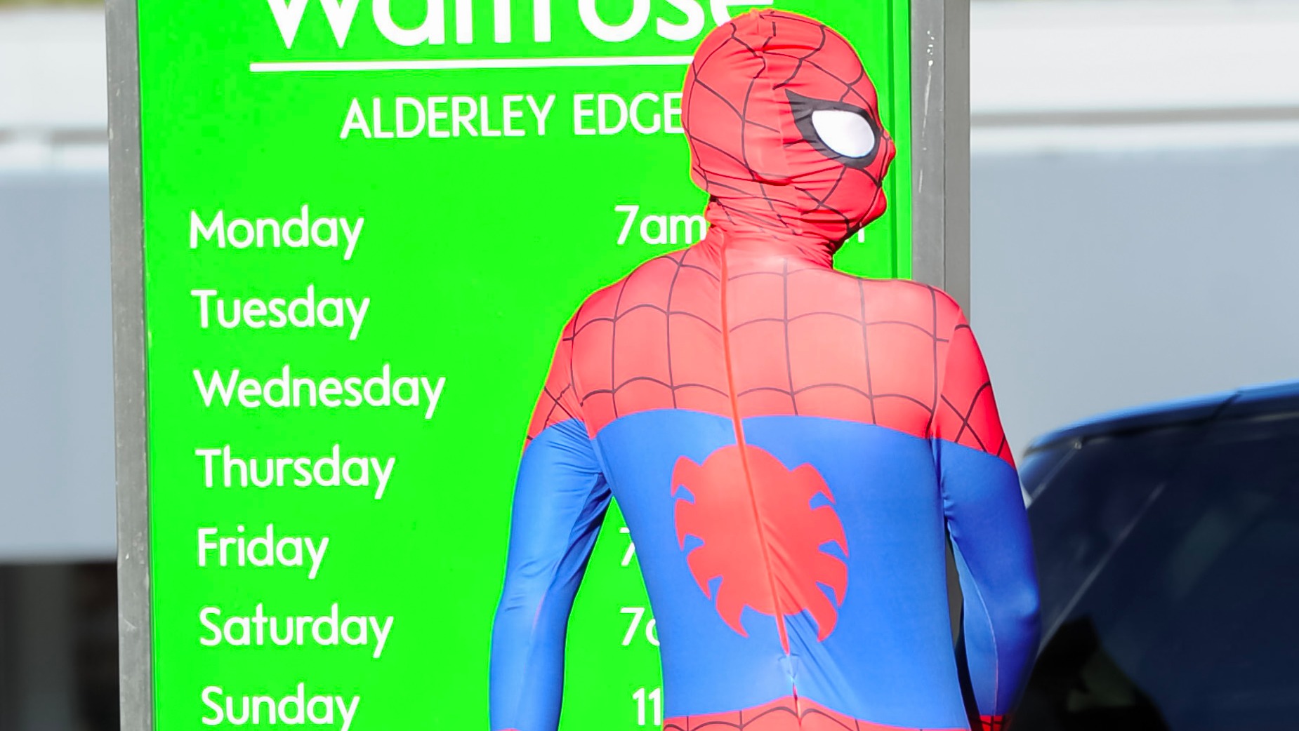 The Spiderman spotted in Cheshire | ITV News Granada