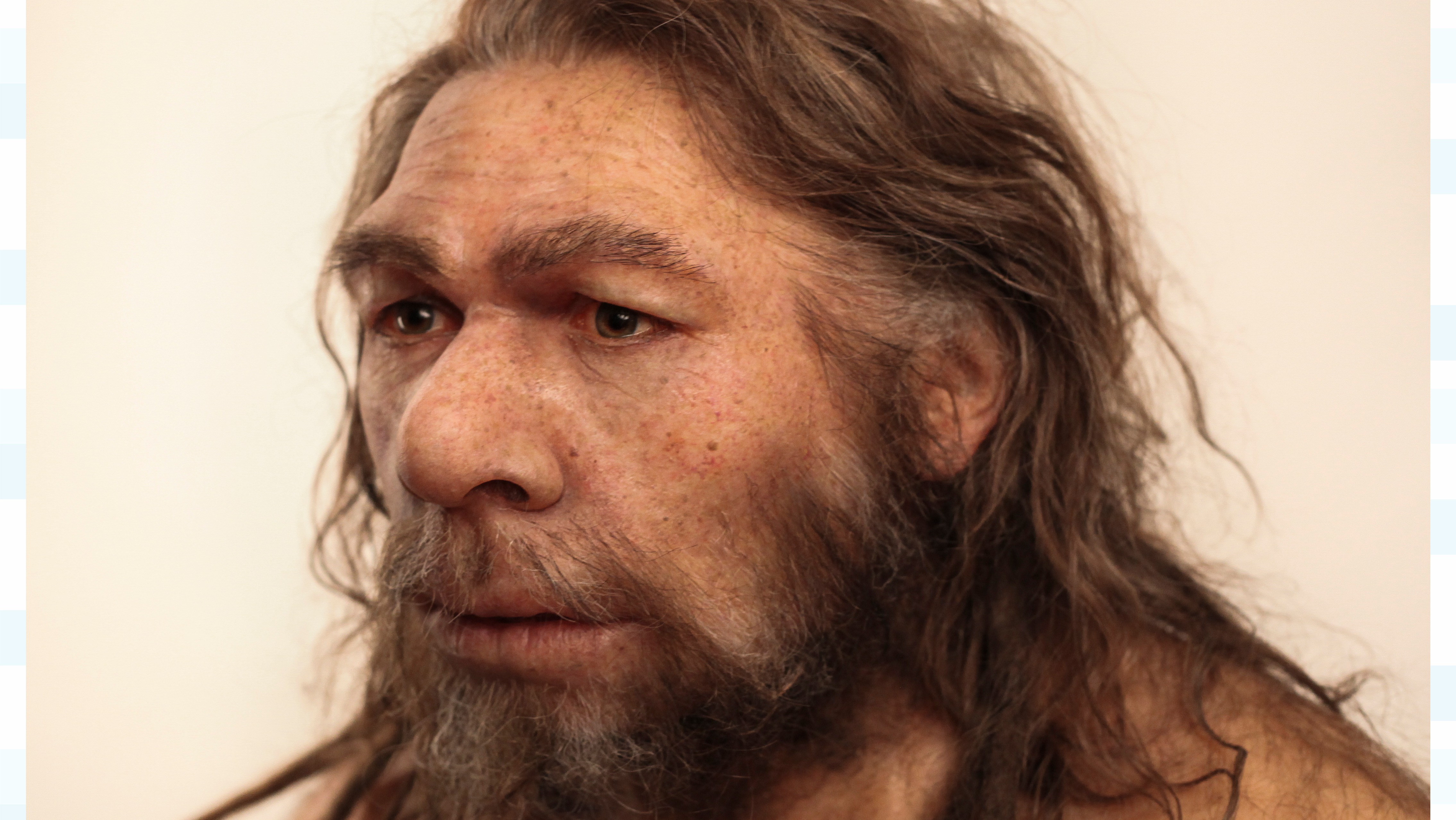 Homo Neanderthalensis реконструкция