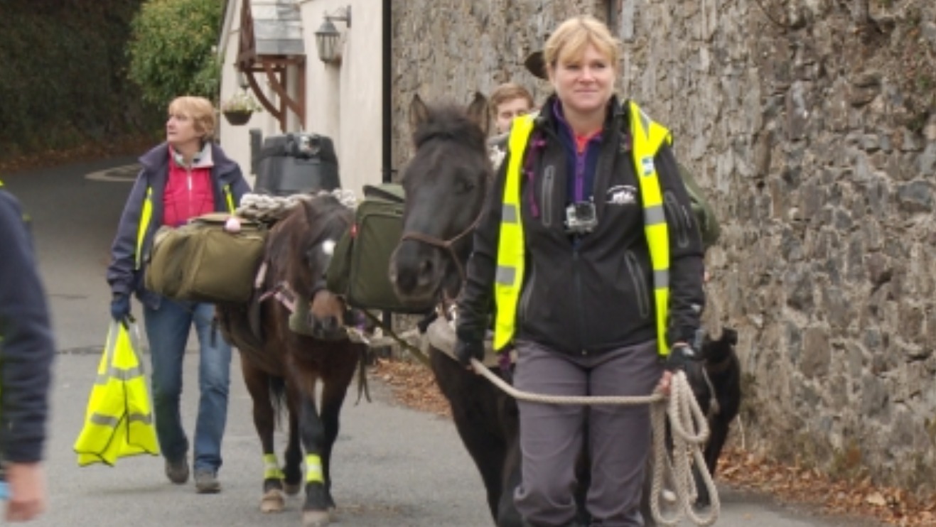 100 mile trek completed by Dartmoor ponies ITV News West Country