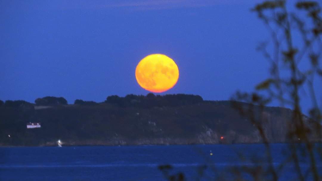 What is the harvest moon, how to watch it? All to know about the supermoon, Explainer News