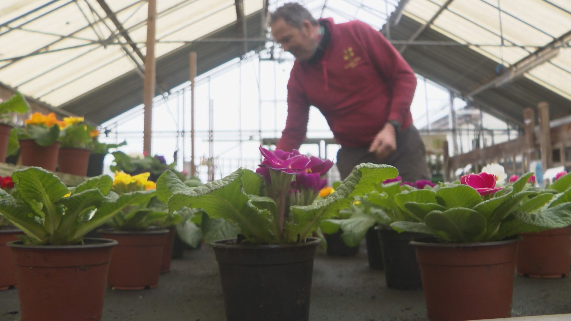 Garden Centre Owners In Wales Need More Certainty As To When They Can Reopen Itv News Wales