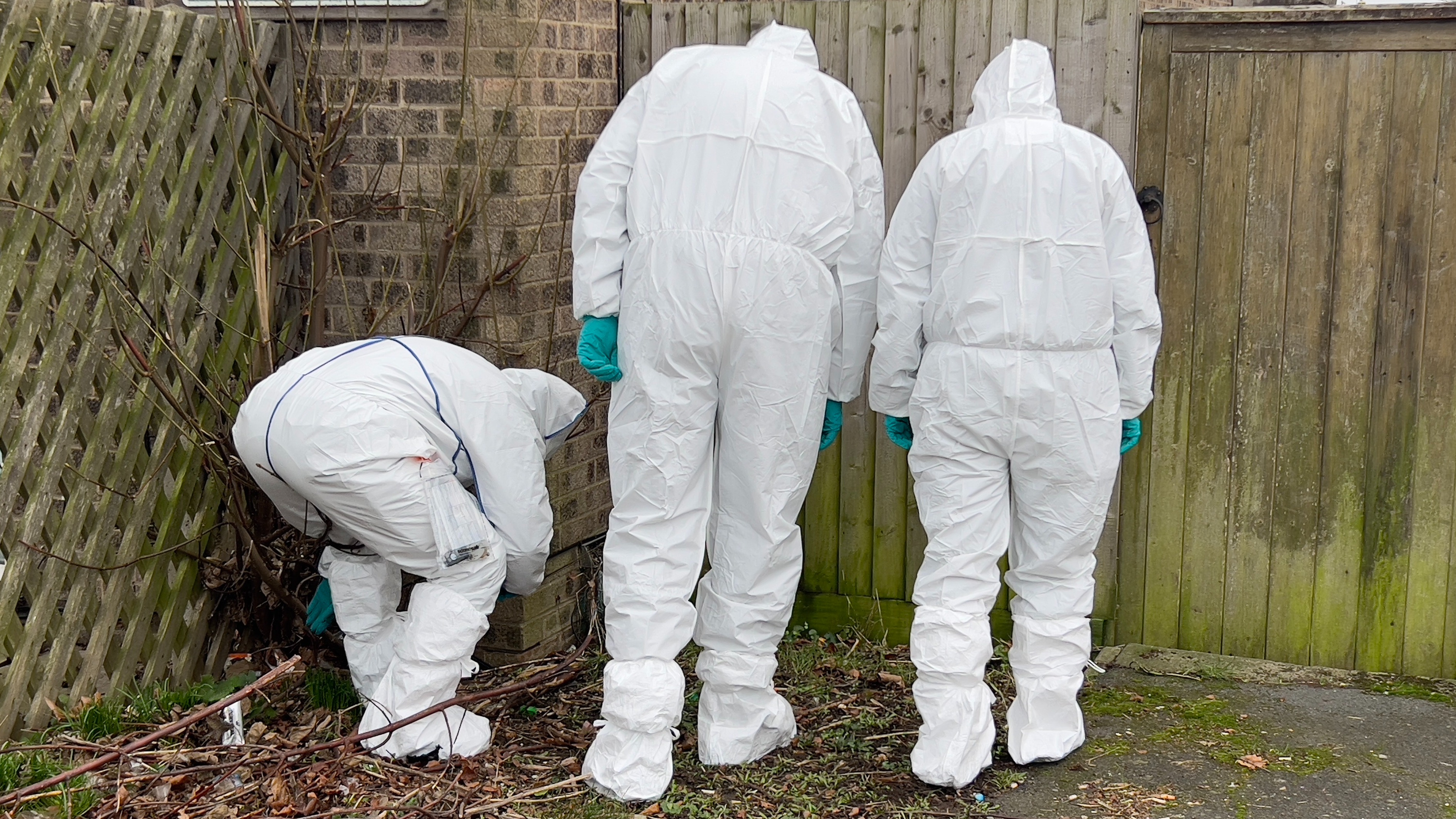 Ewa Kotulska Family pays tribute to 'beautiful human' at centre of