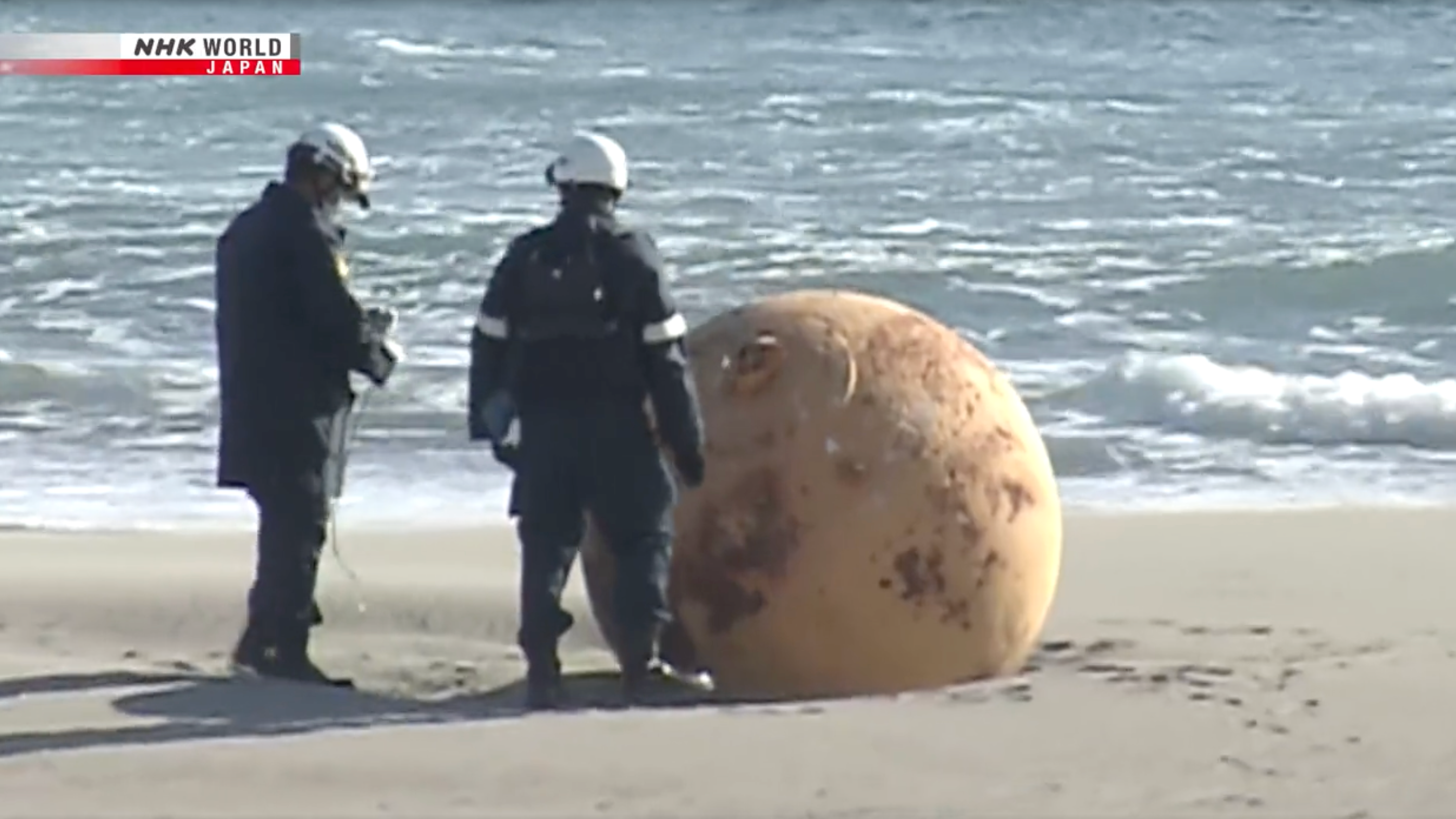 China Beach Tv Show Porn - Conspiracy theories fly as Japanese officials investigate mysterious metal  ball washed up on beach | ITV News