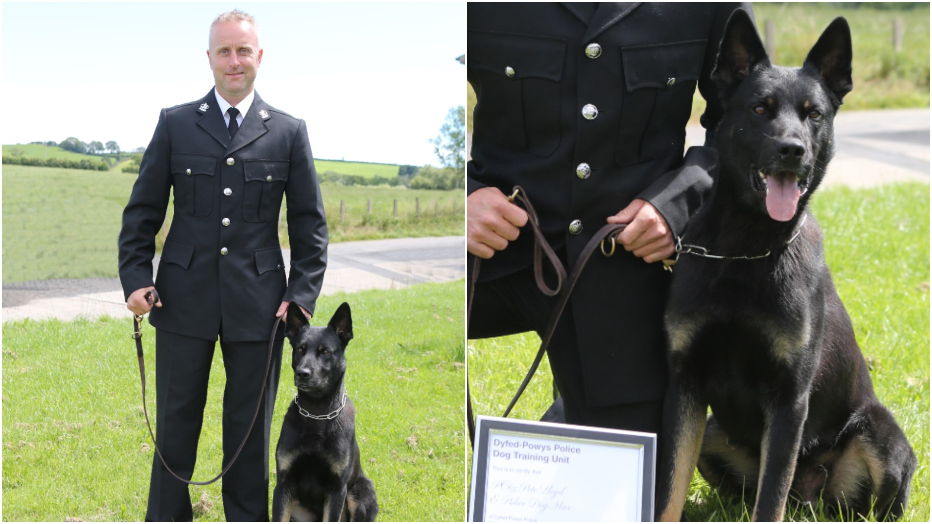 Police dog tracks down missing mother and baby on his very first shift ...