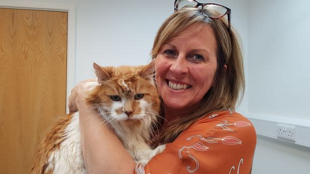 World's oldest cat' who lived in Exeter dies at the age of 31