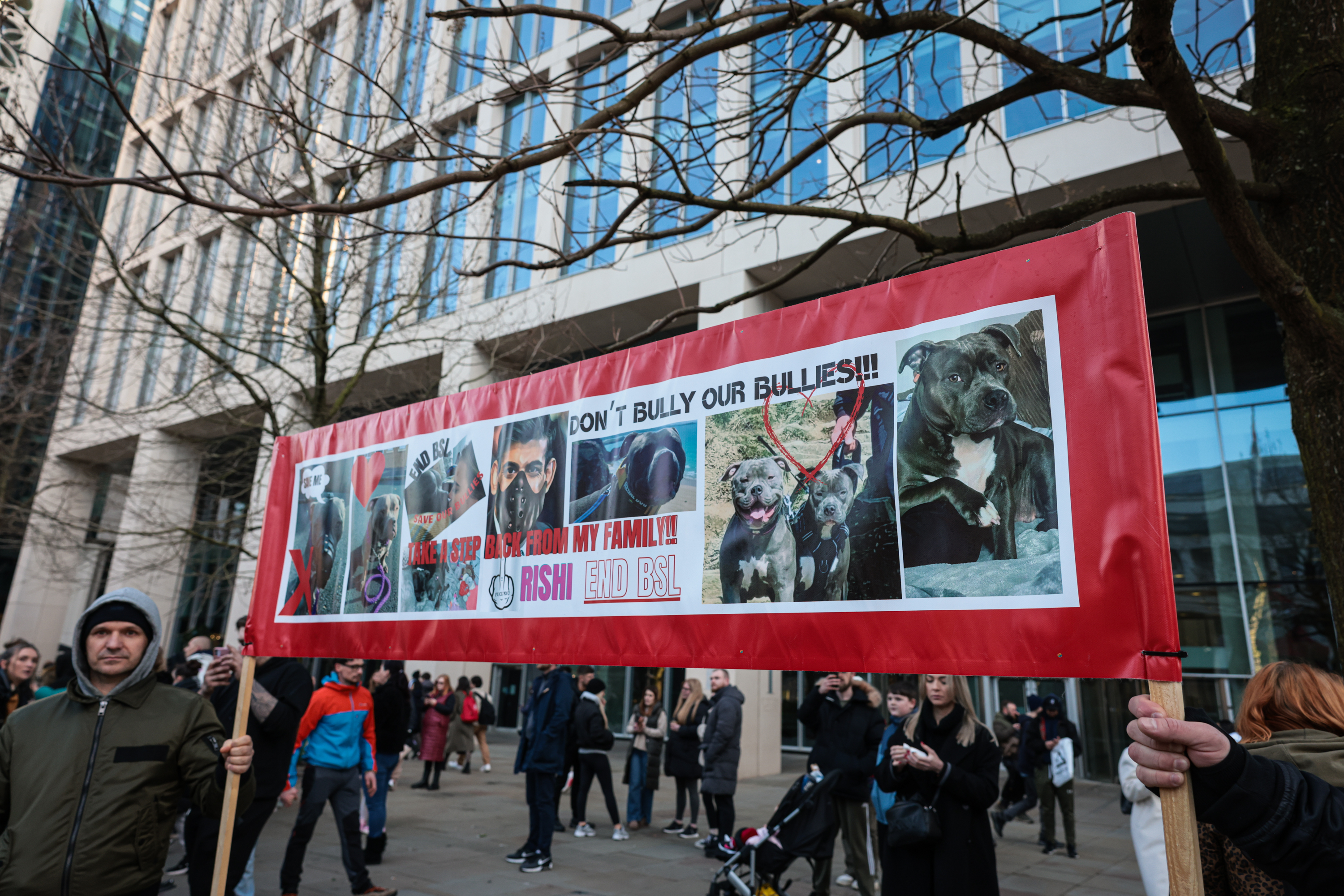 XL Bully owners protest against new laws in Manchester | ITV News Granada