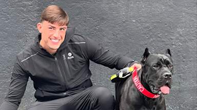 Love Island's Jack Fincham released on bail after appealing dog attack sentence