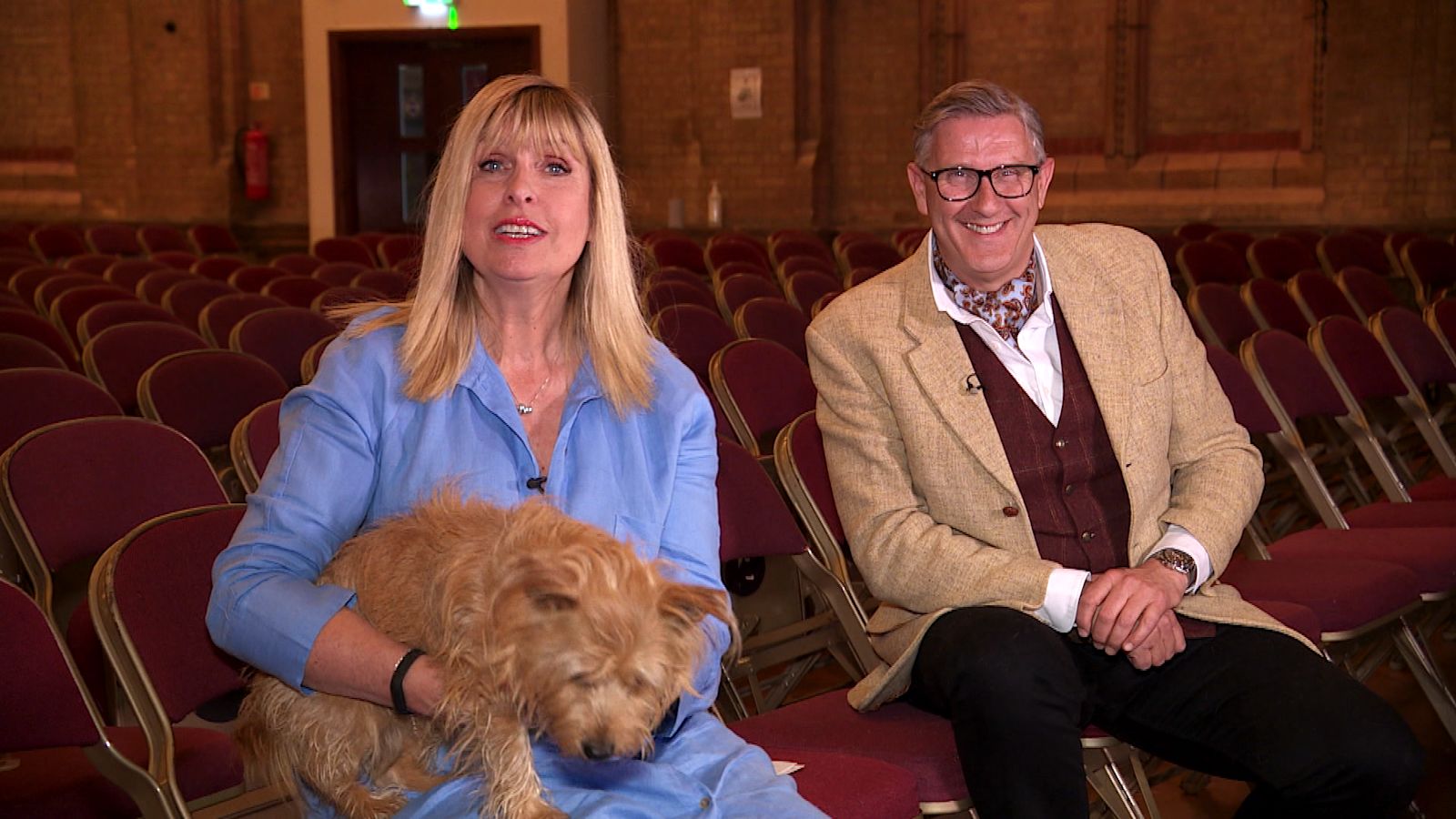 Dogs behaving very badly graeme hall hotsell