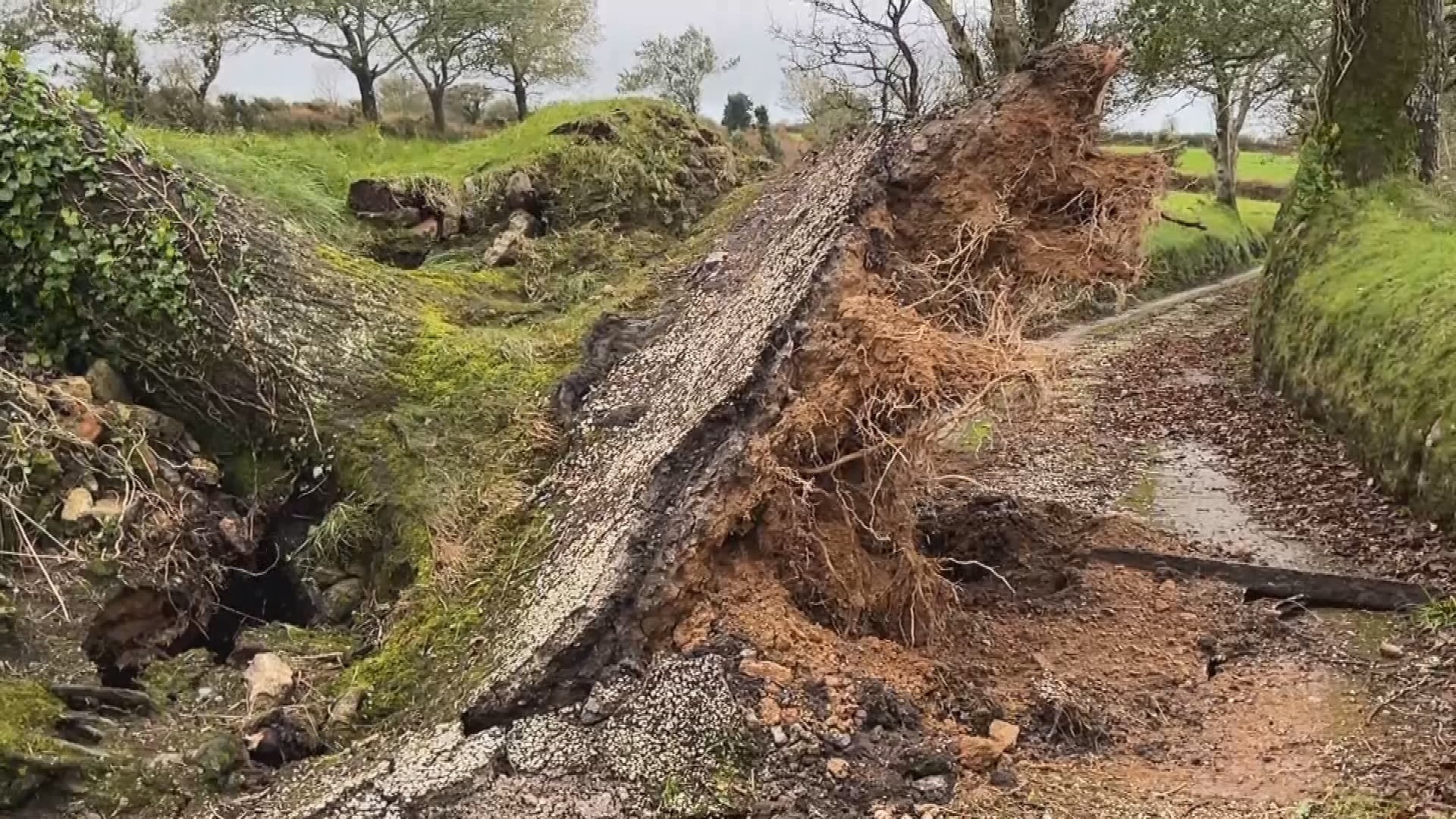 Storm Austen: Thousands of homes still without power after high winds ...